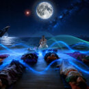SOUND HEALING & GUIDE MEDITATION